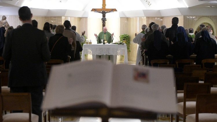 "Sem a ação eficaz do «Espírito da Verdade», não se podem compreender as palavras do Senhor"