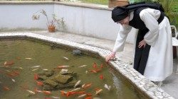 or100409102055_133320 ok.jpg