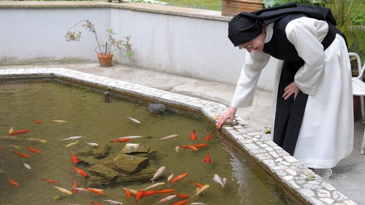 Goldfische in einem Kloster-Kreuzgang