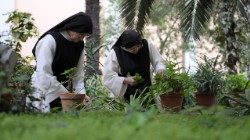 or100409102322_133386 ok.jpg