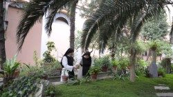 or100409102342_133399 ok.jpg