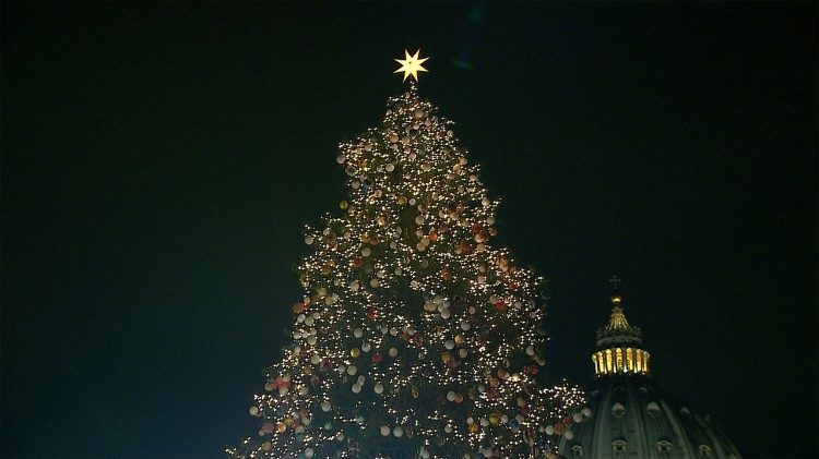 Place Saint-Pierre à Rome, le sapin de Noël d'une hauteur de 21 mètres est, cette année, originaire de la région de Mazury, au nord de la Pologne. 