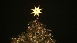 stella alberoAEM.jpg