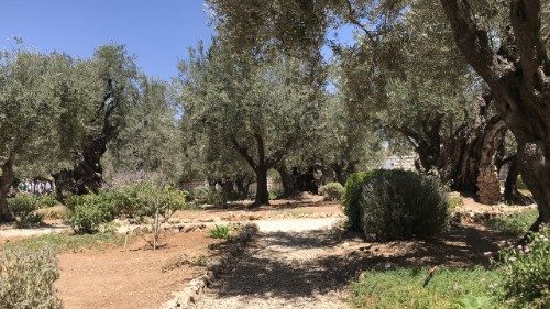 Scicluna: Mittelmeer soll Hoffnung statt Tod bringen 