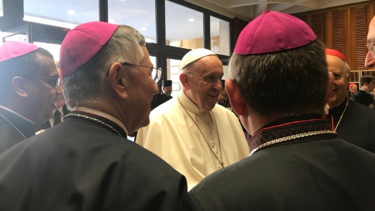 Archivbild: Der Papst und brasilianische Bischöfe bei der Amazonas-Synode im Oktober