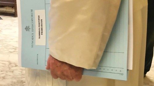   Os jovens não devem ser objeto, mas sujeito do anúncio do Evangelho