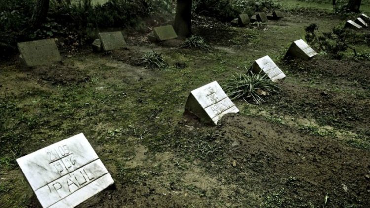 Les tombes des 7 moines de Tibhirine béatifiés le 8 décembre 2018. 