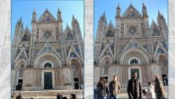 WhatsApp Image 2018-11-21 at 12.10.36 1okAEM.jpg