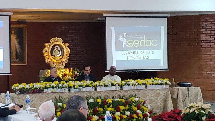 Asamblea ordinaria del SEDAC