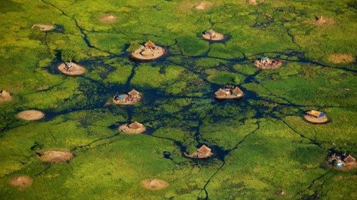 Papst ruft zur Teilnahme am „Laudato si‘-Jahr“ auf