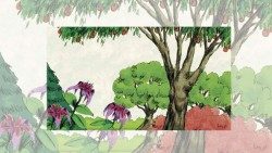 Trees and plants.jpg