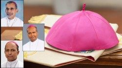 2019.01.12 vescovi.jpg