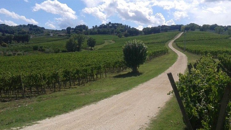 Via dell'Acqua 9.jpg