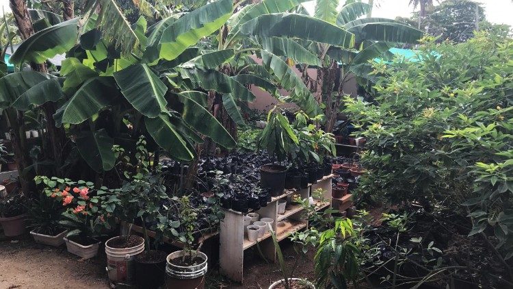 WhatsApp Image 2019-01-22 at 17.51.09 (3).jpeg