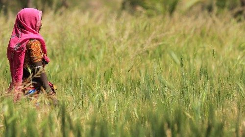 Indien: Christen zum Hinduismus „bekehrt“