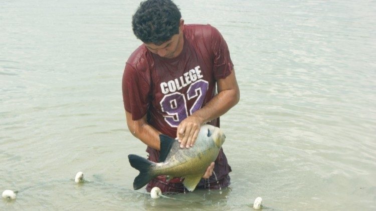 Produção de peixes