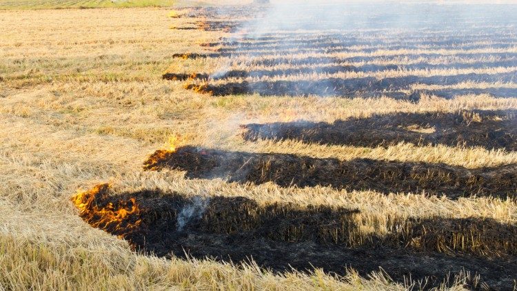 Abp Szewczuk: płoną łany zbóż, płonie nasz chleb, ale my się nie poddamy