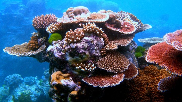 Sulla biodiversità un webinar ispirato all'enciclica Laudato si'