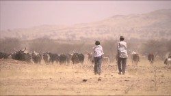 Africa Niger siccità.JPG