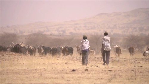 Caritas: rafforzare l’impegno per la pace in tutto il Sahel