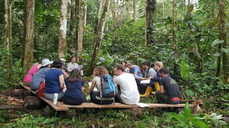 Evento de outubro, no Vaticano, deve aprofundar conceito de ecologia integral do Papa Francisco