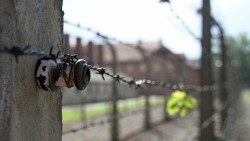 auschwitz-971904.jpg