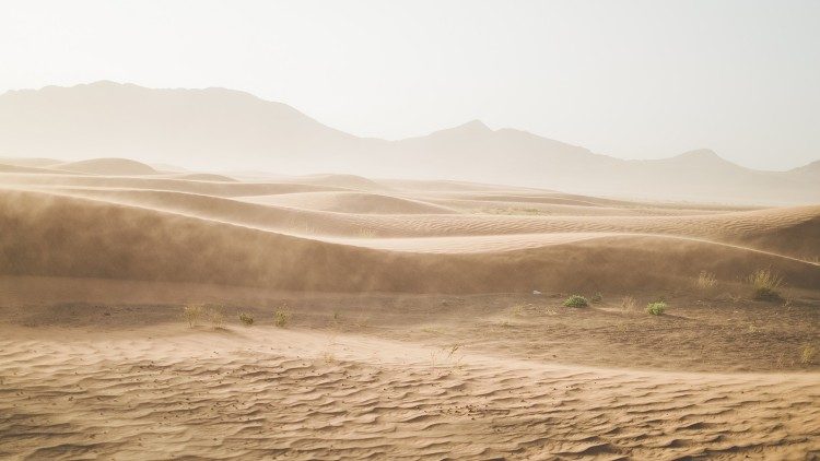 Die Wüste breitet sich immer mehr aus