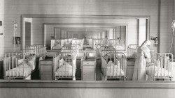 OPBG 150 - Watermark - Padiglione Pio XII - anni 1964.jpg