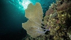 Untitled-1-01 ok.jpg