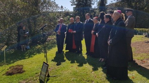 Polskie dęby w Watykanie na 100-lecie relacji dyplomatycznych