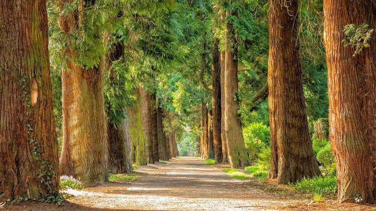 Messaggio di Bartolomeo per la Giornata del Creato