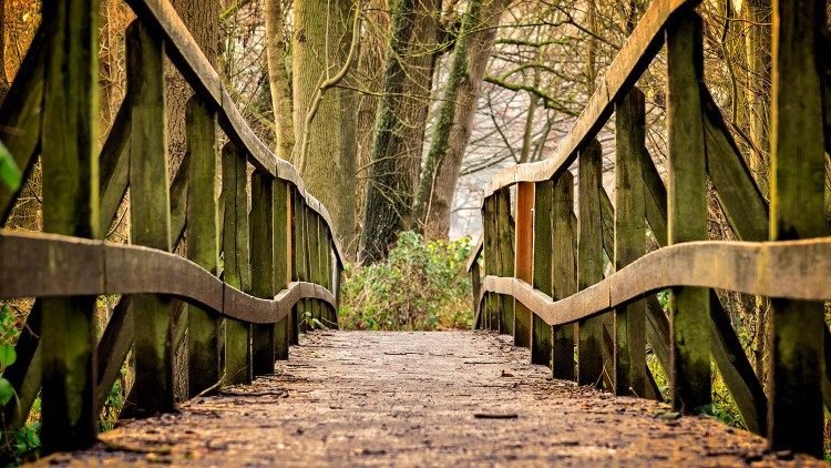 Iniciativa terá lugar em Roma, nos dias do Sínodo Pan-amazônico