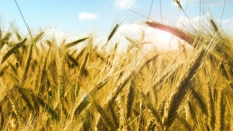 Ілюстрацыйнае фота