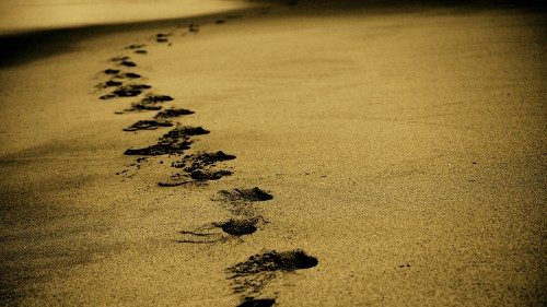 Amoris laetitia: преемственность или разрыв?