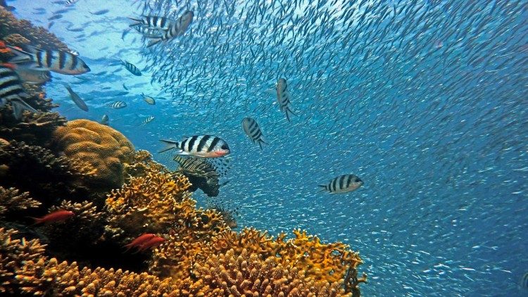 A Parigi un Summit sul tema della biodiversità