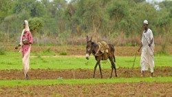 CARITAS ESPANA SUBIR.jpg