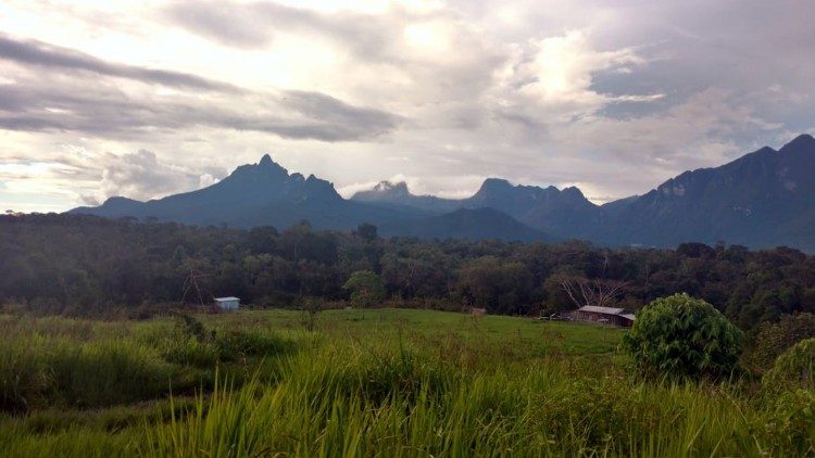 Lugar onde vivem os índios Yanomami na Amazônia