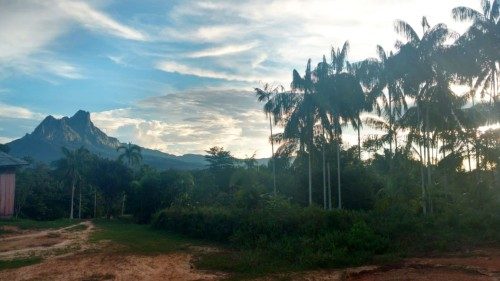 CNBB: Nota de repúdio à violência contra o povo Yanomami