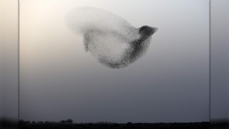 "Onde você estiver, às 13 horas do dia 8 de junho, pare, abaixe a cabeça e reze pela paz" é o simples convite dirigido às mulheres e homens de boa vontade, em 30 línguas diferentes.