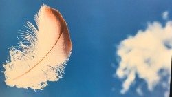 seminario pastorale aeroporto 3 piumaAEM.jpg