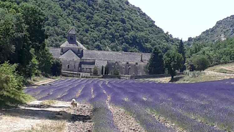 WhatsApp Image 2019-07-08 at 13.23.09.jpeg