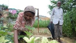 coltivazioni Inondazioni campo profughi Rohingya Cox bazar Bangladesh 9.jpg