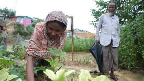 Vatikan: „Logik der Sorge“ gegen den Hunger 