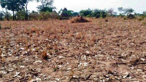 Коронавирус: голод угрожает не только Африке