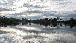 2019.08.09 fiume in Amazzonia 06.jpg