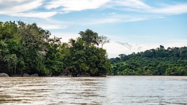 Ամազոնի մէջ գետ: