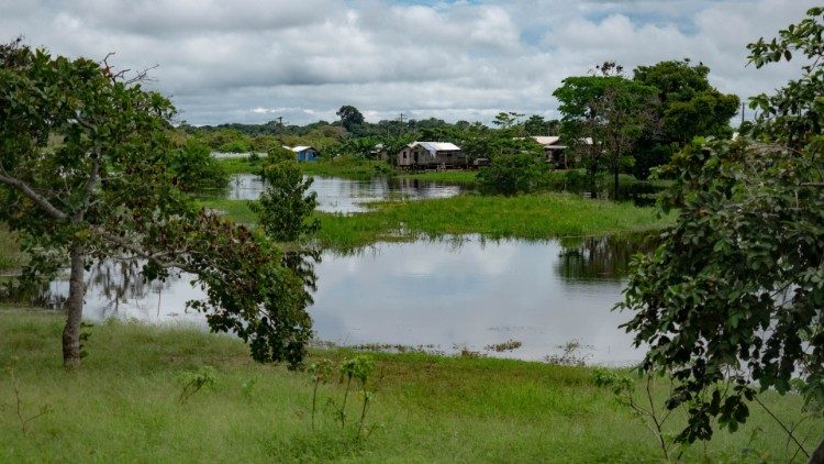 Ամազոնէն առնուած լուսանկար