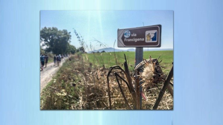 francigena 5.jpg