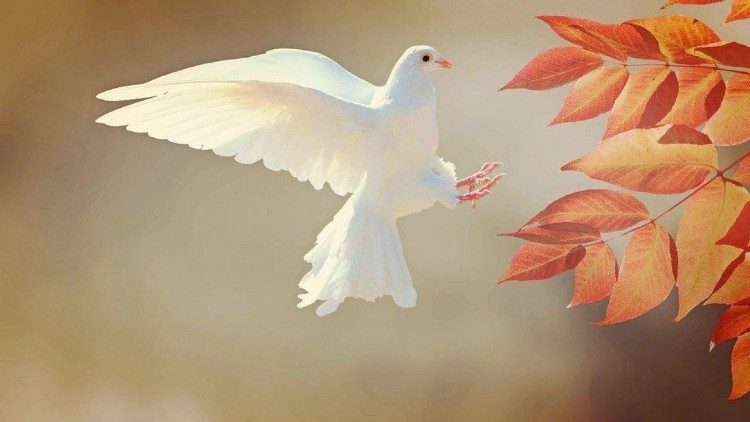 Die interreligiöse Nichtregierungsorganisation „Religions for Peace" (RfP) organisiert das jährliche Treffen von Religionsführern in Lindau am Bodensee
