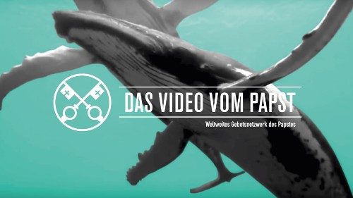 Gebetsintention im September 2019: Der Schutz der Ozeane